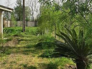 فروش زمین مسکونی در گیلان