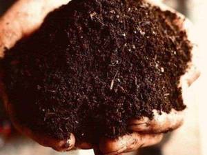سوپر بیوکمپوست سردشت اذربایجان غربی