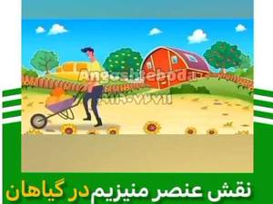 نقش عنصر منیزیم در گیاهان