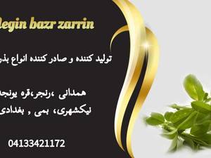 فروش عمده و خرده انواع ارقام مختلف بذر یونجه
