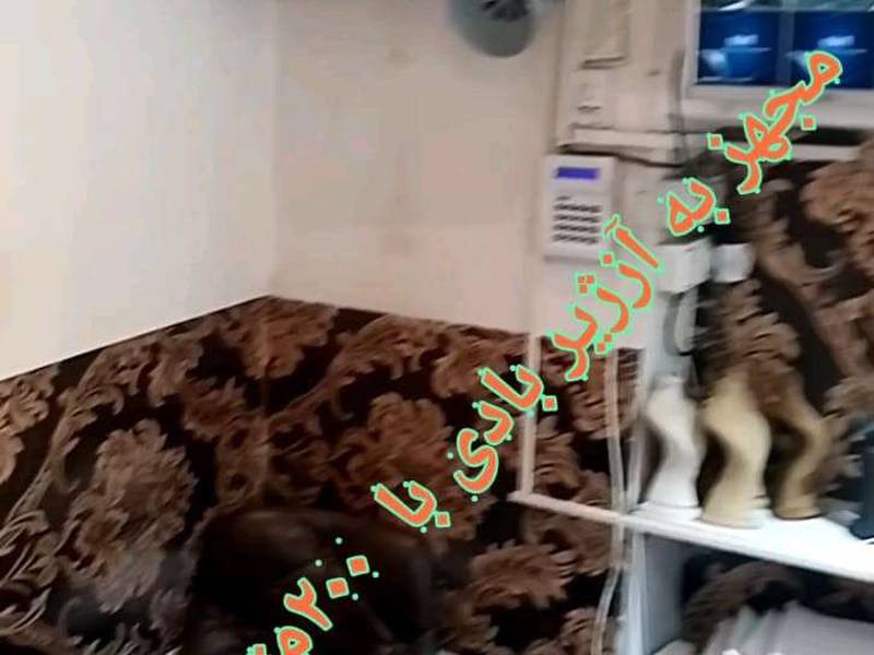 دستگاه دودزا مجهز به آژیر بادی