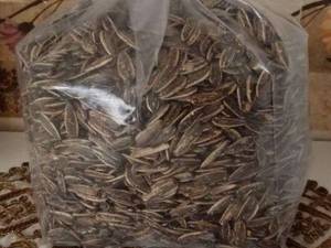 آجیل و خشکبار با کیفیت