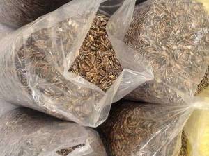 آجیل و خشکبار با کیفیت