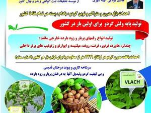 مجوزهای نهالستان ایران گردوی نوین