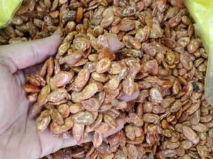 تخمه ژاپنی