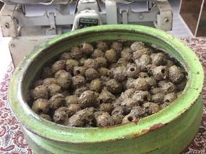 زیتون پرورده‌ی مخصوص