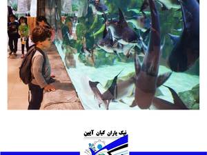 اردو.آکواریوم