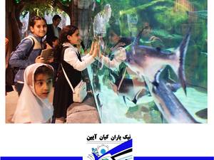 اردو.آکواریوم