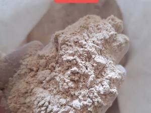 پودر سیر 