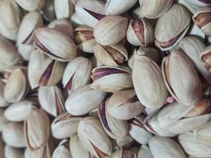 پسته احمدآقایی