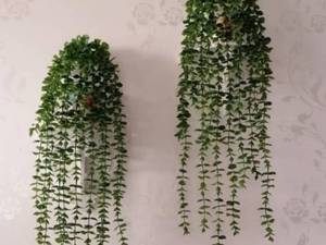  آویز بوته شمشاد