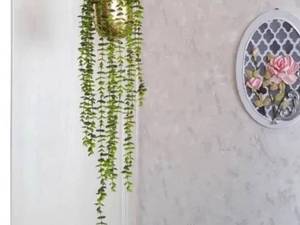  آویز بوته شمشاد
