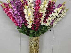 شاخه گل شب بو نسترن 