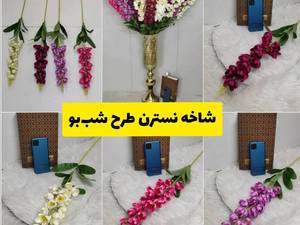 شاخه گل شب بو نسترن 