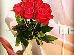 گلخانه گل رز در اصفهان