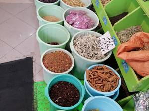 گیاهان دارویی نیشابوری