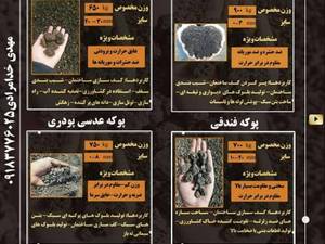 قیمت پوکه معدنی نورآباد لرستان