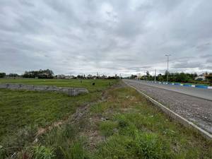 زمین دور دیوار شمال