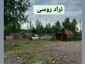نراد روسی