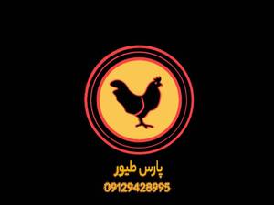 تجھیزات و لوازم مرغداری 