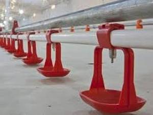 نیپل آبخوری گوشتی