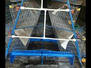  انواع تجهیزات مرغداری