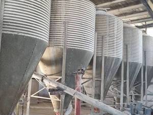  انواع تجهیزات مرغداری