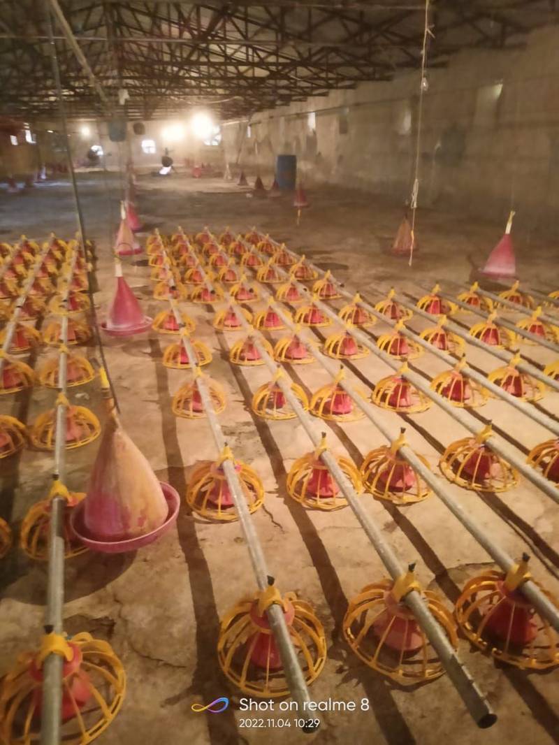 آبخوری و دانخوری