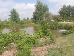 ویلا خوش ساخت حیاط دار